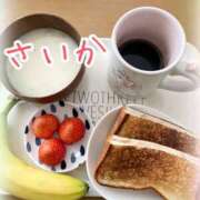 ヒメ日記 2025/02/24 07:15 投稿 さいか 千姫(道後)