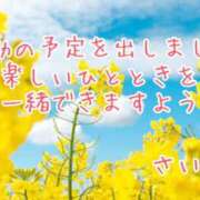 ヒメ日記 2025/02/24 21:02 投稿 さいか 千姫(道後)