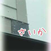 ヒメ日記 2025/02/28 11:45 投稿 さいか 千姫(道後)