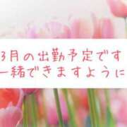 ヒメ日記 2025/03/02 15:30 投稿 さいか 千姫(道後)