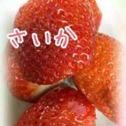 ヒメ日記 2025/03/08 11:45 投稿 さいか 千姫(道後)