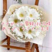 ヒメ日記 2025/03/10 08:37 投稿 さいか 千姫(道後)