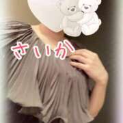 ヒメ日記 2025/03/12 09:28 投稿 さいか 千姫(道後)