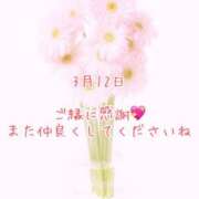 ヒメ日記 2025/03/12 17:15 投稿 さいか 千姫(道後)