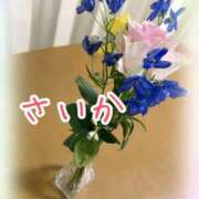 ヒメ日記 2025/03/20 11:45 投稿 さいか 千姫(道後)