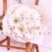 ヒメ日記 2025/03/31 23:30 投稿 さいか 千姫(道後)