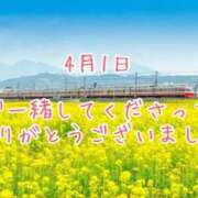 ヒメ日記 2025/04/01 20:30 投稿 さいか 千姫(道後)