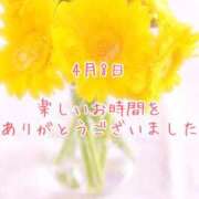 ヒメ日記 2025/04/08 23:04 投稿 さいか 千姫(道後)