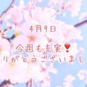 ヒメ日記 2025/04/09 18:45 投稿 さいか 千姫(道後)