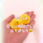 ヒメ日記 2025/07/20 00:35 投稿 さいか 千姫(道後)