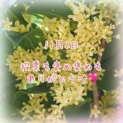 ヒメ日記 2025/11/01 23:01 投稿 さいか 千姫(道後)