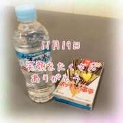 ヒメ日記 2025/11/19 21:03 投稿 さいか 千姫(道後)