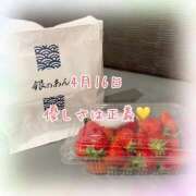 ヒメ日記 2026/04/16 23:16 投稿 さいか 千姫(道後)