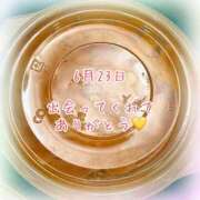 ヒメ日記 2026/06/24 00:01 投稿 さいか 千姫(道後)