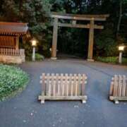 ヒメ日記 2025/01/04 23:47 投稿 とうこ 熟女デリヘル倶楽部