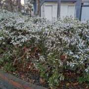 ヒメ日記 2025/03/08 23:04 投稿 とうこ 熟女デリヘル倶楽部