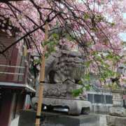 ヒメ日記 2025/03/16 23:59 投稿 とうこ 熟女デリヘル倶楽部