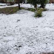 ヒメ日記 2025/03/19 23:37 投稿 とうこ 熟女デリヘル倶楽部