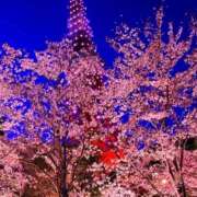 ヒメ日記 2025/03/31 16:41 投稿 とうこ 熟女デリヘル倶楽部