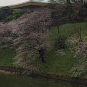 ヒメ日記 2025/04/01 22:22 投稿 とうこ 熟女デリヘル倶楽部