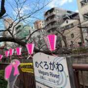 ヒメ日記 2025/04/04 23:26 投稿 とうこ 熟女デリヘル倶楽部