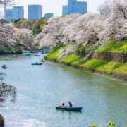 ヒメ日記 2025/04/07 23:51 投稿 とうこ 熟女デリヘル倶楽部