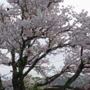 ヒメ日記 2025/04/10 23:37 投稿 とうこ 熟女デリヘル倶楽部