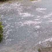 ヒメ日記 2025/04/12 20:48 投稿 とうこ 熟女デリヘル倶楽部