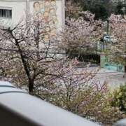 ヒメ日記 2025/04/14 18:14 投稿 とうこ 熟女デリヘル倶楽部