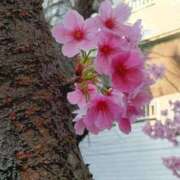 ヒメ日記 2025/05/01 23:35 投稿 とうこ 熟女デリヘル倶楽部