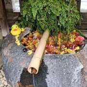 ヒメ日記 2025/05/07 23:23 投稿 とうこ 熟女デリヘル倶楽部