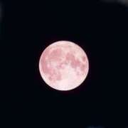 ヒメ日記 2025/06/11 23:15 投稿 とうこ 熟女デリヘル倶楽部