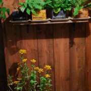 ヒメ日記 2025/06/12 23:58 投稿 とうこ 熟女デリヘル倶楽部