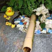 ヒメ日記 2025/06/27 23:39 投稿 とうこ 熟女デリヘル倶楽部