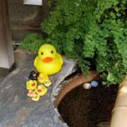 ヒメ日記 2025/06/29 22:46 投稿 とうこ 熟女デリヘル倶楽部