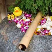 ヒメ日記 2025/07/12 23:59 投稿 とうこ 熟女デリヘル倶楽部