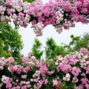 ヒメ日記 2025/07/17 23:58 投稿 とうこ 熟女デリヘル倶楽部