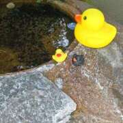 ヒメ日記 2025/07/28 23:44 投稿 とうこ 熟女デリヘル倶楽部