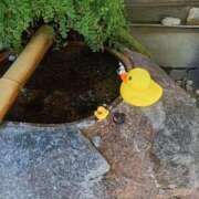 ヒメ日記 2025/08/01 23:59 投稿 とうこ 熟女デリヘル倶楽部