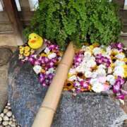 ヒメ日記 2025/08/06 23:58 投稿 とうこ 熟女デリヘル倶楽部