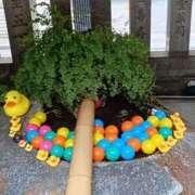 ヒメ日記 2025/08/12 23:59 投稿 とうこ 熟女デリヘル倶楽部