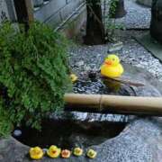 ヒメ日記 2025/08/25 22:47 投稿 とうこ 熟女デリヘル倶楽部