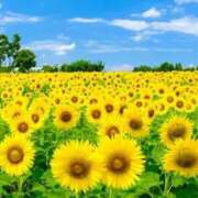 ヒメ日記 2025/08/28 23:58 投稿 とうこ 熟女デリヘル倶楽部