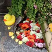 ヒメ日記 2025/09/01 23:54 投稿 とうこ 熟女デリヘル倶楽部