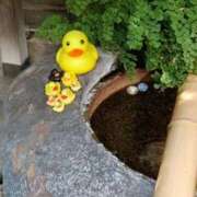 ヒメ日記 2025/09/04 22:55 投稿 とうこ 熟女デリヘル倶楽部