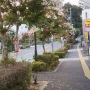 ヒメ日記 2025/09/14 21:03 投稿 とうこ 熟女デリヘル倶楽部