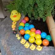 ヒメ日記 2025/09/15 23:52 投稿 とうこ 熟女デリヘル倶楽部