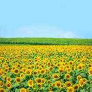 ヒメ日記 2025/09/18 07:53 投稿 とうこ 熟女デリヘル倶楽部