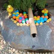 ヒメ日記 2025/09/25 23:25 投稿 とうこ 熟女デリヘル倶楽部