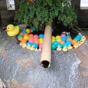 ヒメ日記 2025/09/27 19:39 投稿 とうこ 熟女デリヘル倶楽部